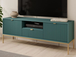 TV-Lowboard mit Schublade und Türen Amber Grün, Gold Frame