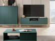 TV-Lowboard mit Schublade und Türen Amber Grün, Gold Frame