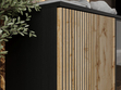 Türkommode mit Led Deo 154 cm Schwarz, Eiche Wotan