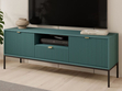 TV-Lowboard mit Schublade und Türen Amber Grün, Schwarz Frame