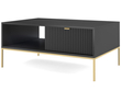 Couchtisch mit Stauraum Amber Schwarz, Gold Frame