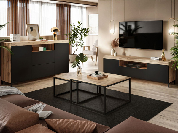 Zweittürige Kommode 164 cm im Loft-Stil Asumi Schwarz matt und Eiche Wotan